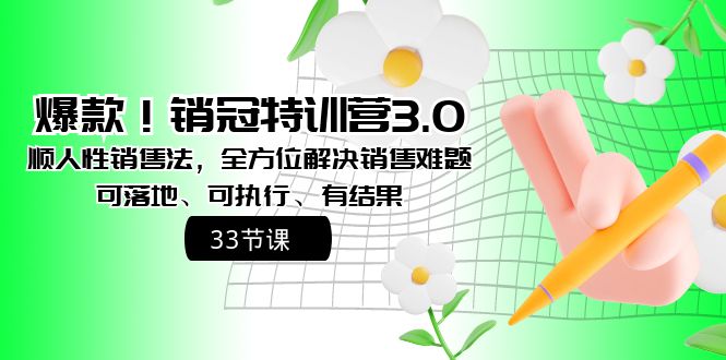 （8573期）爆款！销冠特训营3.0之顺人性销售法，全方位解决销售难题、可落地、可执…-战狼项目网