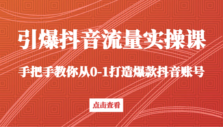引爆抖音流量实操课，手把手教你从0-1打造爆款抖音账号（27节课）-战狼项目网