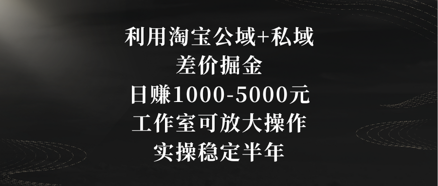 利用淘宝公域+私域差价掘金，日赚1000-5000元，工作室可放大操作，实操…-战狼项目网