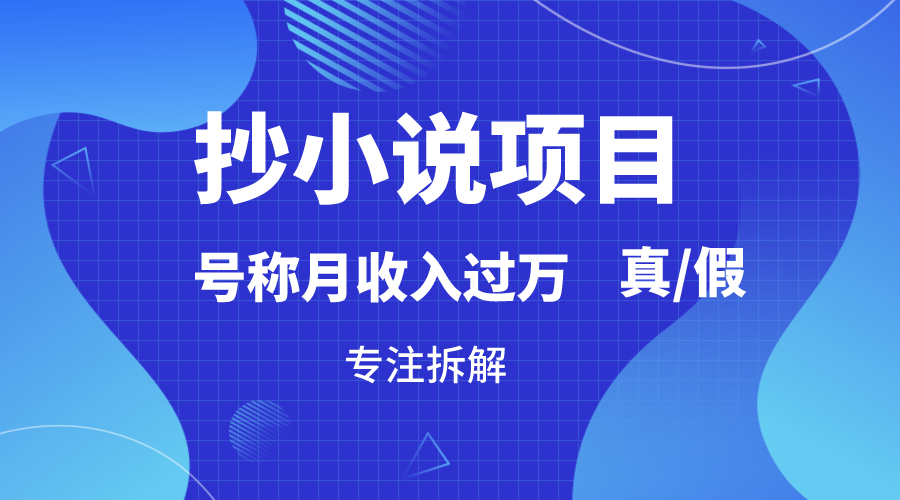 抄小说项目，号称月入过万，到底是否真实，能不能做，详细拆解-战狼项目网
