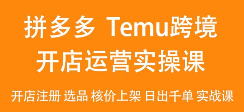 2024Temu最新玩法，Temu跨境开店运营实操课，开店注册/选品/核价上架/日出千单实战课-战狼项目网