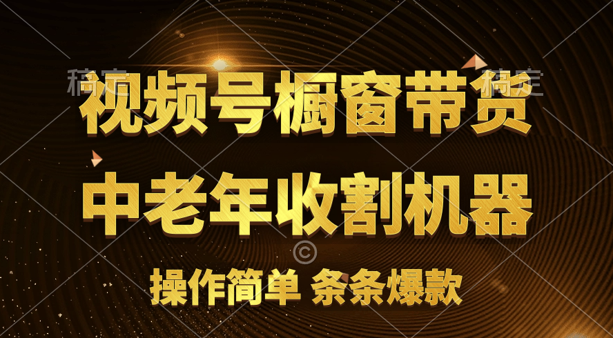 [你的孩子成功取得高位]视频号最火爆赛道，橱窗带货，流量分成计划，条…-战狼项目网