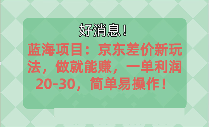 越早知道越能赚到钱的蓝海项目：京东大平台操作，一单利润2030，简单…-战狼项目网