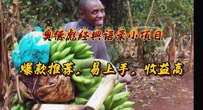 奥德彪经典语录小项目，爆款推荐，易上手，收益高-战狼项目网