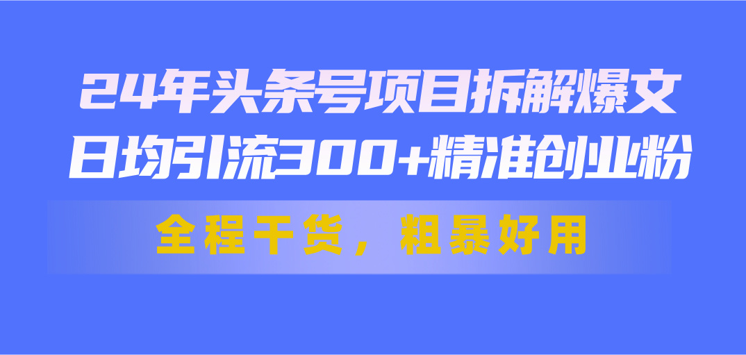 24年头条号项目拆解爆文，日均引流300+精准创业粉，全程干货，粗暴好用-战狼项目网
