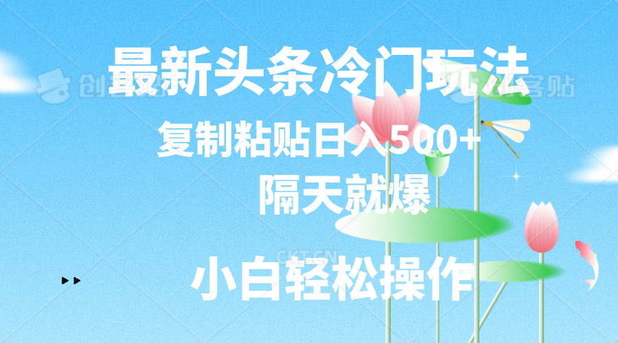 最新头条冷门玩法，隔天就爆，复制粘贴日入500+-战狼项目网