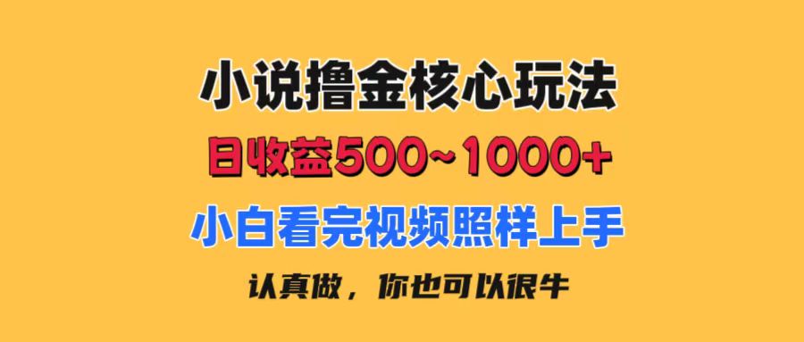小说撸金核心玩法，日收益5001000+，小白看完照样上手，0成本有手就行-战狼项目网