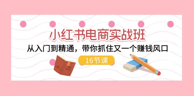小红书电商实战班，从入门到精通，带你抓住又一个赚钱风口（16节）-战狼项目网