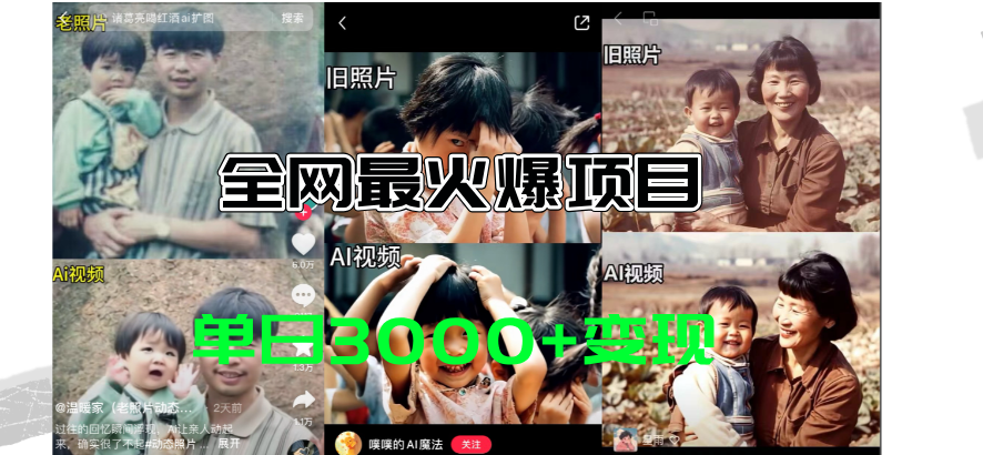 全网爆火的AI让老照片动起来教程，蹭热点日赚3000+，内含免费工具一键…-战狼项目网