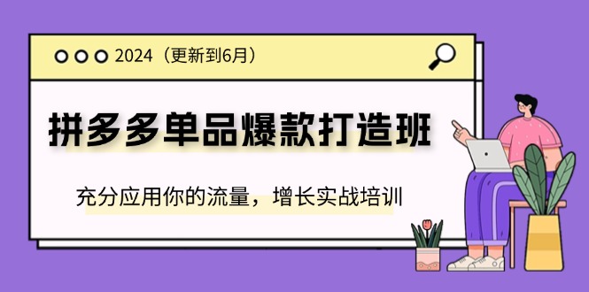2024拼多多单品爆款打造班(更新6月)，充分应用你的流量，增长实战培训-战狼项目网