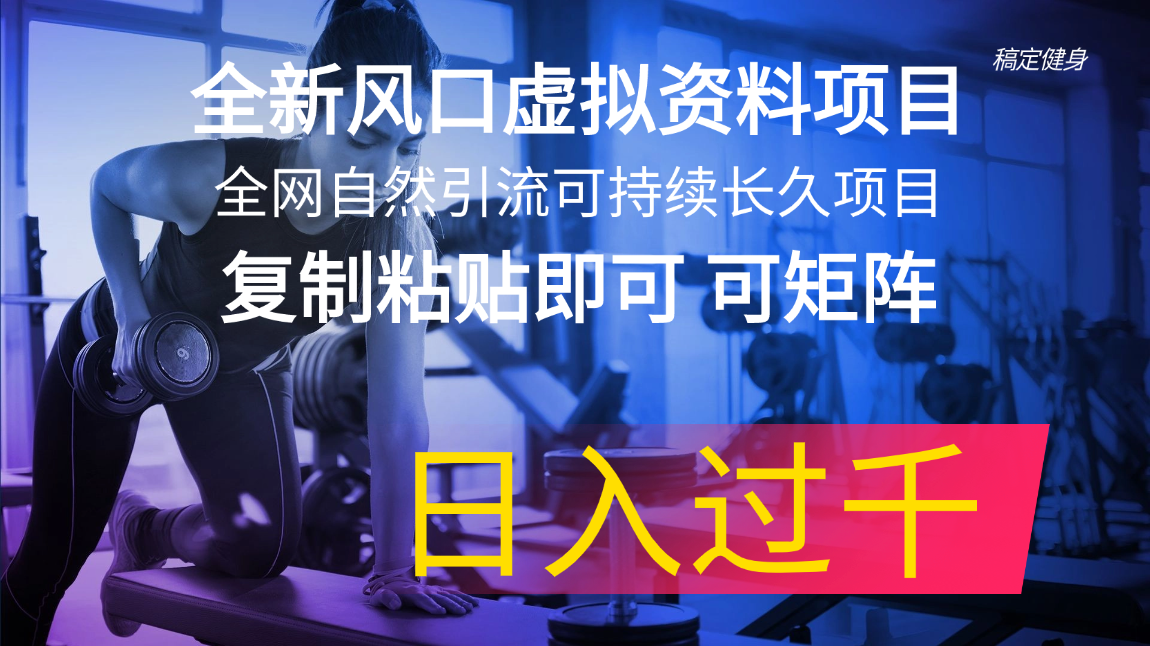 全新风口虚拟资料项目 全网自然引流可持续长久项目 复制粘贴即可可矩阵…-战狼项目网