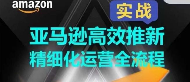亚马逊高效推新精细化运营全流程，全方位、快速拉升产品排名和销量! – 战狼项目网_分享创业资讯_最新网络项目资源-战狼项目网
