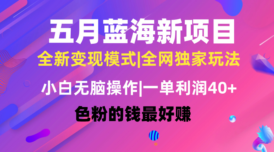五月蓝海项目全新玩法，小白无脑操作，一天几分钟，矩阵操作，月入4万+ – 战狼项目网_分享创业资讯_最新网络项目资源-战狼项目网
