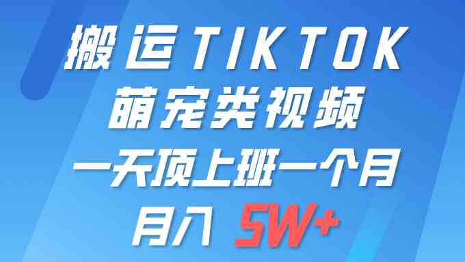 一键搬运TIKTOK萌宠类视频 一部手机即可操作 所有平台均可发布 轻松月入5W+ – 战狼项目网_分享创业资讯_最新网络项目资源-战狼项目网