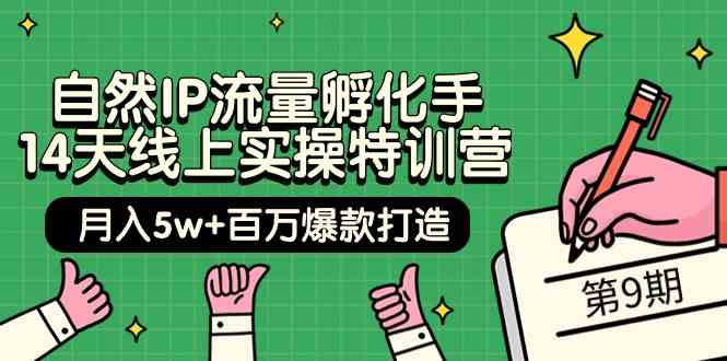自然IP流量孵化手 14天线上实操特训营【第9期】月入5w+百万爆款打造 (74节) – 战狼项目网_分享创业资讯_最新网络项目资源-战狼项目网