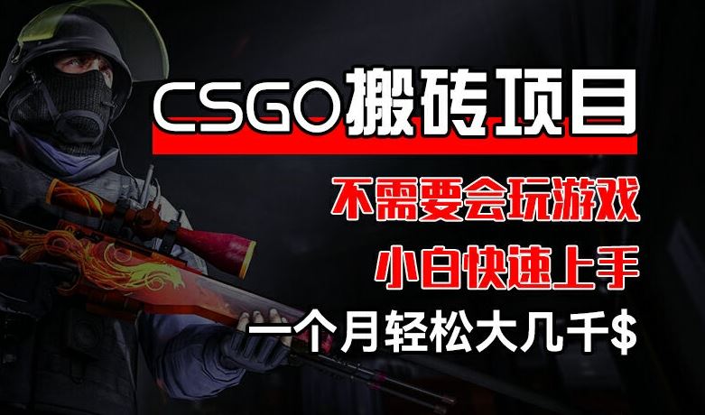 CSGO 装备搬砖项目，操作简单，不需要会玩游戏，小白也能快速上手，一个月轻松大几千【揭秘】 – 战狼项目网_分享创业资讯_最新网络项目资源-战狼项目网