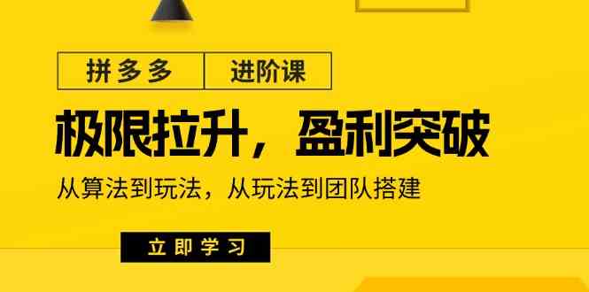 拼多多进阶课：极限拉升/盈利突破：从算法到玩法 从玩法到团队搭建（18节） – 战狼项目网_分享创业资讯_最新网络项目资源-战狼项目网