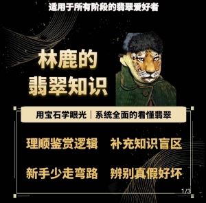 林鹿的翡翠知识，​用宝石眼光，系统全面的看懂翡翠 – 战狼项目网_分享创业资讯_最新网络项目资源-战狼项目网