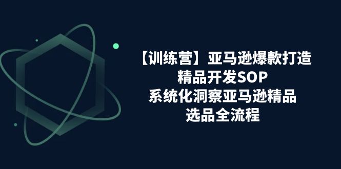 【训练营】亚马逊爆款打造之精品开发SOP，系统化洞察亚马逊精品选品全流程 – 战狼项目网_分享创业资讯_最新网络项目资源-战狼项目网