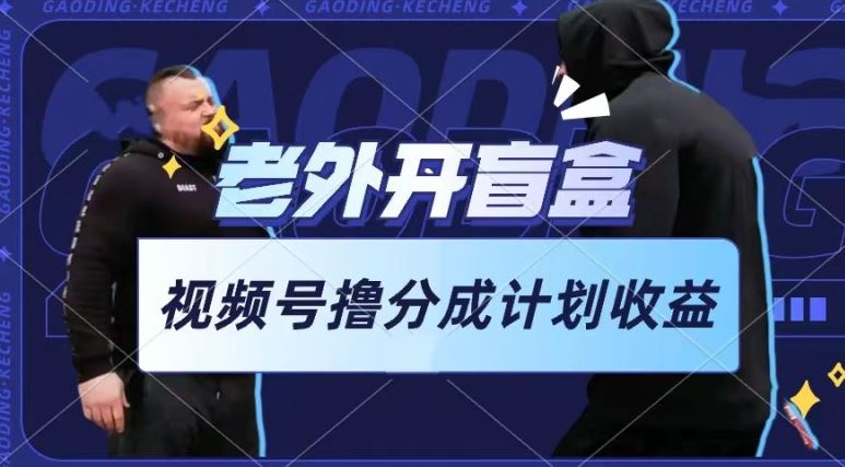 老外开盲盒视频，撸视频号分成计划收益，每天只需一小时，新手小白轻松上手【揭秘】 – 战狼项目网_分享创业资讯_最新网络项目资源-战狼项目网