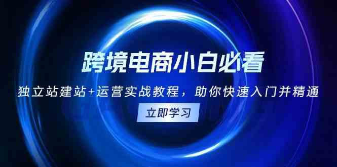 跨境电商小白必看！独立站建站+运营实战教程，助你快速入门并精通 – 战狼项目网_分享创业资讯_最新网络项目资源-战狼项目网