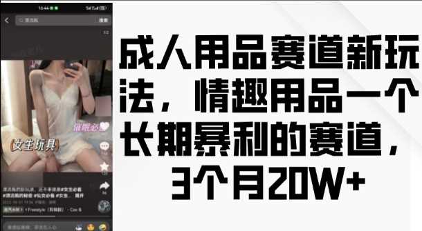 成人用品赛道新玩法，情趣用品一个长期暴利的赛道，3个月收益20个【揭秘】 – 战狼项目网_分享创业资讯_最新网络项目资源-战狼项目网