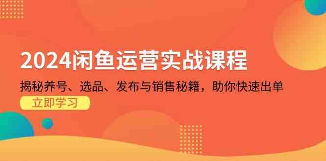 2024闲鱼运营实战课程：揭秘养号、选品、发布与销售秘籍，助你快速出单 – 战狼项目网_分享创业资讯_最新网络项目资源-战狼项目网