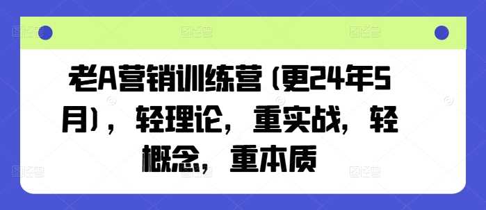 老A营销训练营(更24年12月)，轻理论，重实战，轻概念，重本质 – 战狼项目网_分享创业资讯_最新网络项目资源-战狼项目网