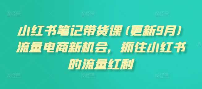 小红书笔记带货课(更新12月)流量电商新机会，抓住小红书的流量红利 – 战狼项目网_分享创业资讯_最新网络项目资源-战狼项目网