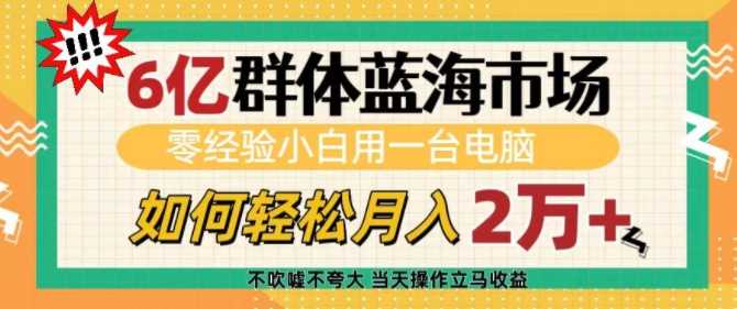 6亿群体蓝海市场，零经验小白用一台电脑，如何轻松月入过w【揭秘】 – 战狼项目网_分享创业资讯_最新网络项目资源-战狼项目网