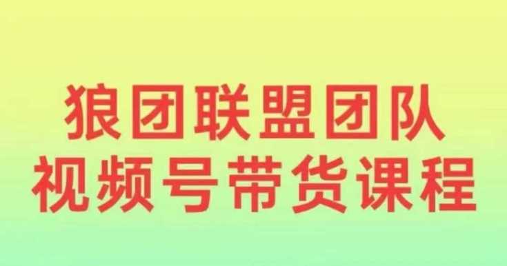 狼团联盟2024视频号带货，0基础小白快速入局视频号 – 战狼项目网_分享创业资讯_最新网络项目资源-战狼项目网