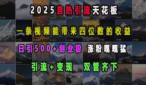 2025自热引流天花板，一条视频能带来四位数的收益，引流+变现双管齐下，日引500+创业粉，涨粉嘎嘎猛 – 战狼项目网_分享创业资讯_最新网络项目资源-战狼项目网