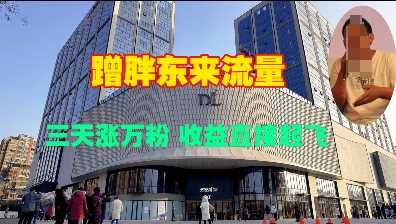 蹭胖东来流量，三天涨万粉，收益直接起飞 – 战狼项目网_分享创业资讯_最新网络项目资源-战狼项目网
