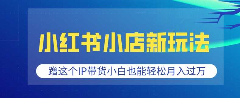 小红书小店新玩法，蹭这个IP带货，小白也能轻松月入过W【揭秘】 – 战狼项目网_分享创业资讯_最新网络项目资源-战狼项目网