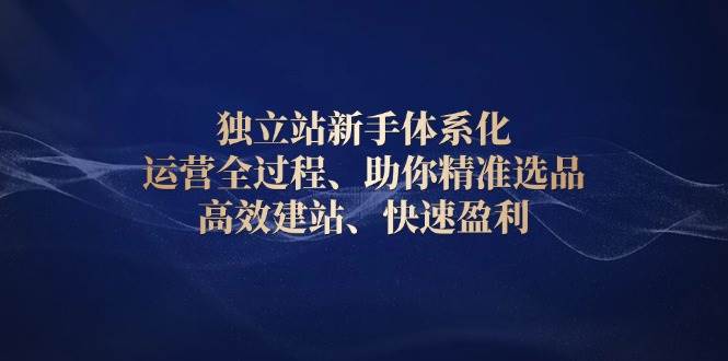 独立站新手体系化 运营全过程，助你精准选品、高效建站、快速盈利 – 战狼项目网_分享创业资讯_最新网络项目资源-战狼项目网