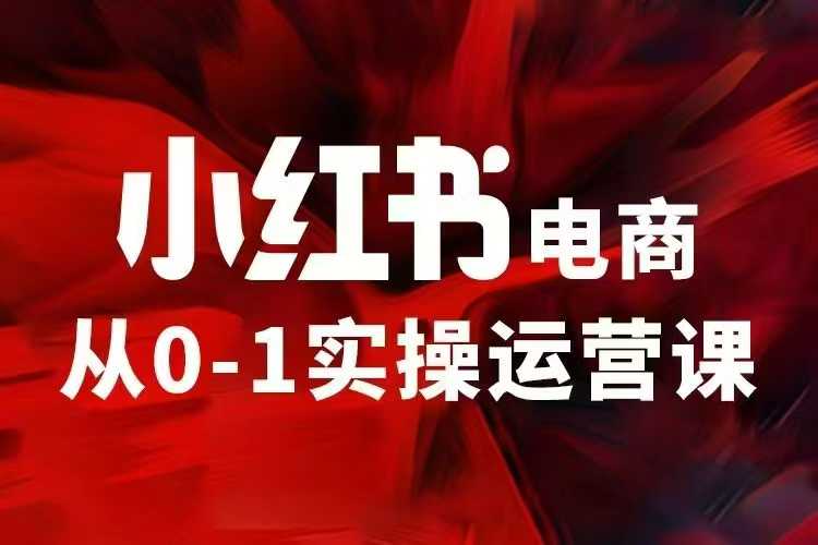 小红书电商运营，97节小红书vip内部课，带你实现小红书赚钱 – 战狼项目网_分享创业资讯_最新网络项目资源-战狼项目网